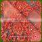 New Arrival Beads Decoration Spangle Embroidery Fabric For Dress