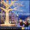 outdoor Waterproof Holiday wedding decorative led lights