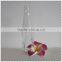 glass drinking bottle