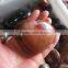 Romantic Quartz polished ocean jasper crystal Hearts decorations