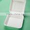 HL-99 9"x9" Japanese Sushi Disposable Food Packaging Box