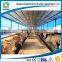 Light Steel Shed for Dairy Cow and Milk Cow