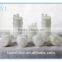 Luer Lock capsule filter for Videojet,domino,Markem Imaje,CITRONIX ink jet printer