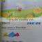 ceiling sky wall paper/wall paper rolls/wall paper price
