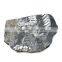 Deluxe Authentic Plant Leaf Fossils Dig Kit