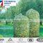 UV Stabilized HDPE Olive Collect Netting