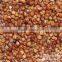 Chinese Red sorghum with best quality Sorghum