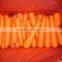 Chinese fresh carrot