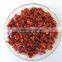dehydrated green & red bell pepper