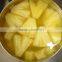best offer of queen style pineapple canned from vietnam