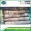 China fresh wild yam