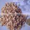 New products high quality best selling soya protein food machinery