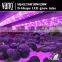 Buy Led Grow Light From China VANQ Led Grow Tube With Daisy-chain,30% Discount Price