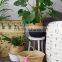 Natural belly seagrass basket / planter for home decoration