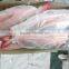 Frozen Red Snapper Whole