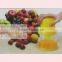 400ML New Design Multifunctional Plastic Manual FruitJuicer with Measuring Cup