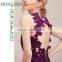 Fashion Party Dresses for Girls of 18 Years Old Patterns of Lace Evening Dress HSd7499