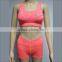 Latest Seamless Sexy Under Wear Ladies Active Bra Yoga Wear Sports Bra Set