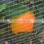 Chinese manufacturer Anti hail systems/ Hail protection nets for agriculture