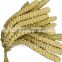 organic yellow/red millet spray