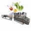 Industry ultrasonic fruit processing line fruit washer / vegetable washing machine