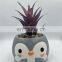 cute cheap indoor panda garden cartoon ceramic flower planters plant succulent  pots suppliers manufacturer