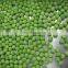 New Crop  Frozen IQF Green pea
