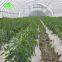 UV protection mist-resistant 3-5 layers heat keeping daylight greenhouse film