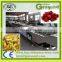 Good performance canned pickled cucumber production line