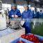 Yangzhou Daoxi Plastic Packing Co., Ltd.