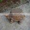 2015 New Products Magnesia Craft Tortoise Tables and Chairs
