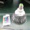 Promotion Price 15w Led Spot RGB Par Light