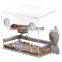 PREMIUM LUCITE ACRYL Window Bird Feeder