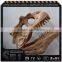 Cetnology-Hot sale realistic fiberglass dinosaur skeleton model