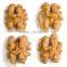 Chinese good quality walnut kernel