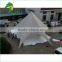 Giant Outdoor Top Quality Luxury Star Shape Car Tents for Sale