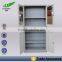 Commen Glass Door Cabinet/ Low Price High Quality Steel Office Cupboard/ 2 Doors Stainless File Cupboard