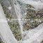 cheapest olive harvest net made in China