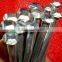 fast sell galvanized square boat nails