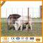  pig wire fence lowes hog wire farm fencing