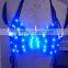 LED Light Up Women Bra / Sexy Bra and Panty / Sexy Lingerie