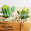 We Export Succulent Plants Wholesale Artificial Succulent Plants