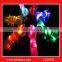 neon charming LED shoelace
