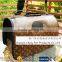 Foldable Large Dog Carrier Bag Made Of PU Material Pet Cages, Carriers & Houses