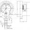 Diaphragm pressure gauge for homogenizer