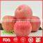 China Hot Sale Fresh Sweet Fuji Apple Fruit