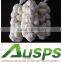 2015 crop garlic china