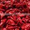 Dried Red Chilli