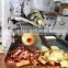 Industrial Apple Skin Remover Removing Processing Machine