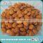 2016 New Crop Bitter Apricot Kernels